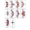 Celestial Wings Breast Tattoo Sticker – WM-XT-05